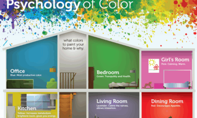Color psychology design behind decorating trends