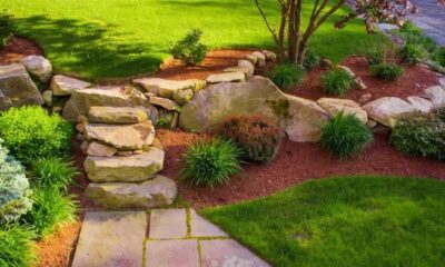 5 Cheap Landscaping Ideas When You’re On a Budget – Forbes Home
