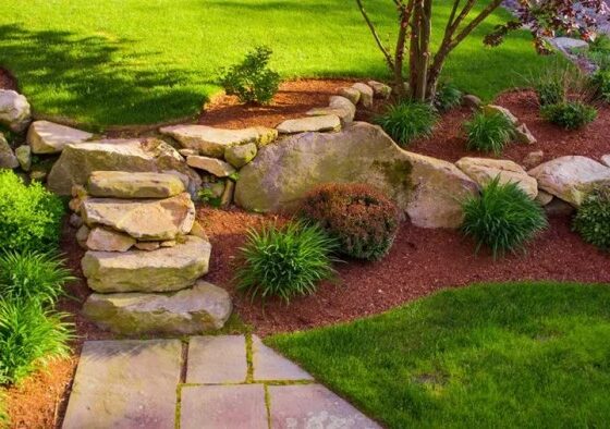 5 Cheap Landscaping Ideas When You’re On a Budget – Forbes Home