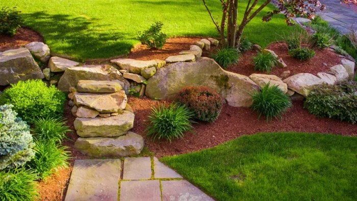 5 Cheap Landscaping Ideas When You’re On a Budget – Forbes Home